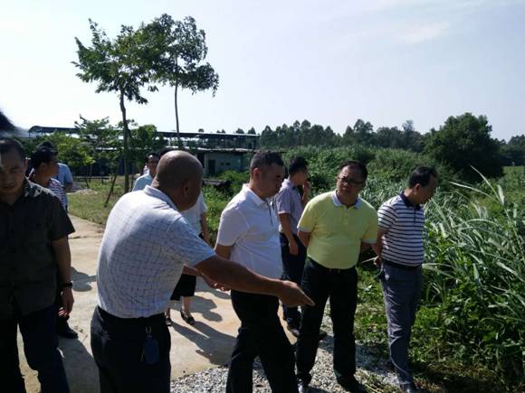 江城區區委書記、區長陳基文調研市環保園環境保護工作